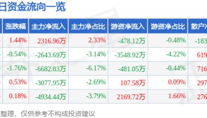 股票行情快报:岩山科技(002195)7月24日主力资金净买入2316.96万元