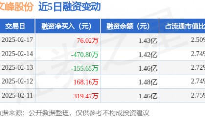 文峰股份:2月17日融资买入3589万元,融资融券余额1.43亿元