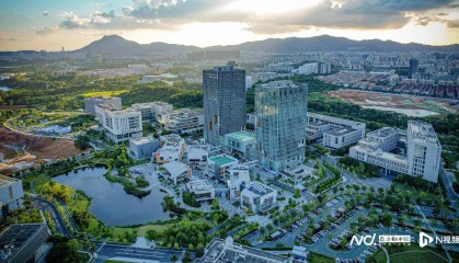 东莞这个社区不简单,五年来激活多个镇街科技产业