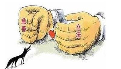 接手转让的基金会,和正常基金会有啥区别?