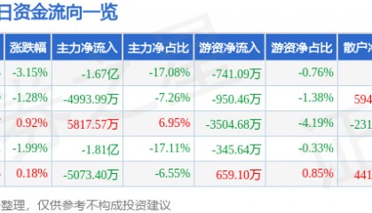 股票行情快报:岩山科技(002195)6月13日主力资金净卖出1.67亿元