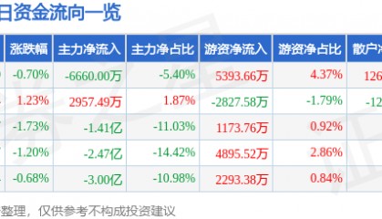 股票行情快报:岩山科技(002195)8月1日主力资金净卖出6660.00万元