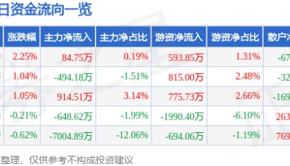 股票行情快报：兄弟科技（002562）7月1日主力资金净买入84.75万元
