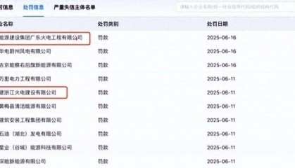 中国能建2公司被罚