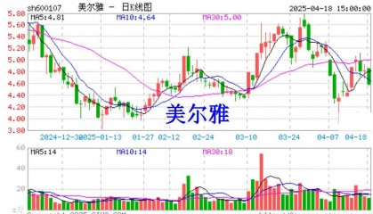 美尔雅及实控人信披违规被立案调查,股票维权已启动