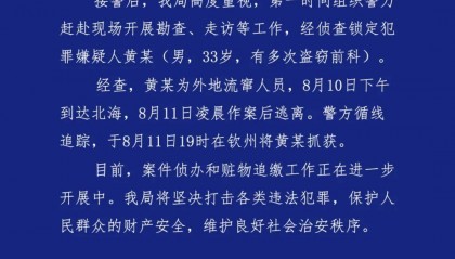 广西北海通报“多车车窗被砸财物被盗”:黄某(男,33岁,有多次盗窃前科)被抓