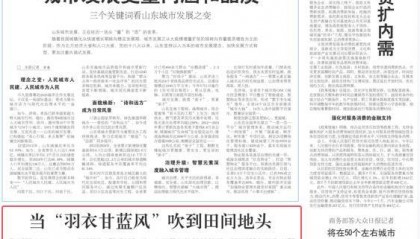 人民日报大众日报共同关注:当“羽衣甘蓝风”吹到田间地头