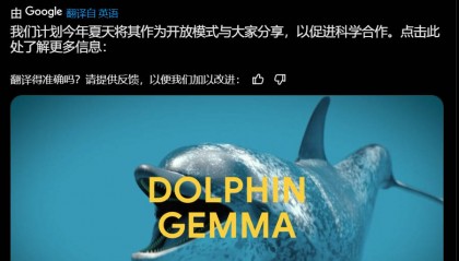 谷歌基于Gemma打造海豚专属模型,用4亿参数“解锁”海豚声音秘密