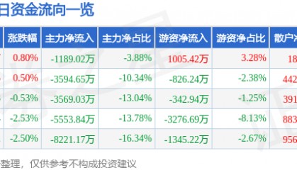 股票行情快报：鹏辉能源（300438）12月20日主力资金净卖出1189.02万元
