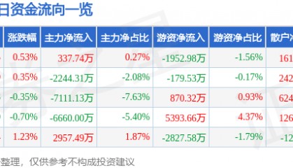股票行情快报：岩山科技（002195）8月6日主力资金净买入337.74万元