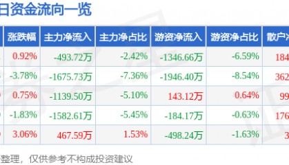 股票行情快报：鹏辉能源（300438）1月13日主力资金净卖出493.72万元