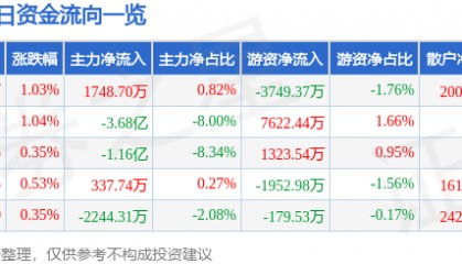 股票行情快报:岩山科技(002195)8月11日主力资金净买入1748.70万元