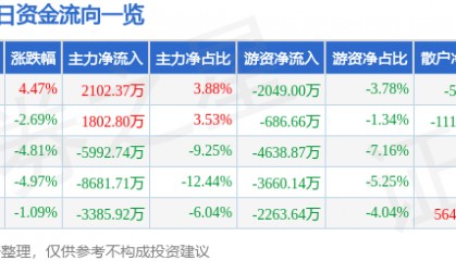股票行情快报:鼎龙股份(300054)11月19日主力资金净买入2102.37万元