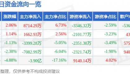 股票行情快报:岩山科技(002195)6月24日主力资金净买入8714.29万元