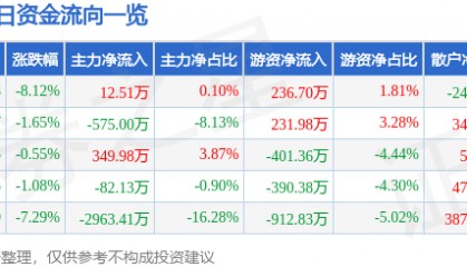 股票行情快报:华天酒店(000428)12月23日主力资金净买入12.51万元