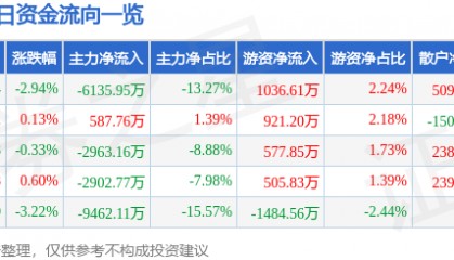 股票行情快报：鹏辉能源（300438）3月13日主力资金净卖出6135.95万元