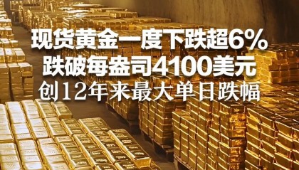 黄金现货是什么(黄金现货是什么价格)