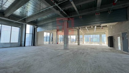 上海临港生命蓝湾：整合上海科创资源 构建生物医药产业生态