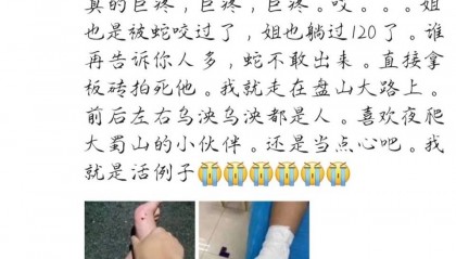 合肥一市民夜爬大蜀山被毒蛇咬伤 公园管理处呼吁:尽量避免夜间登山