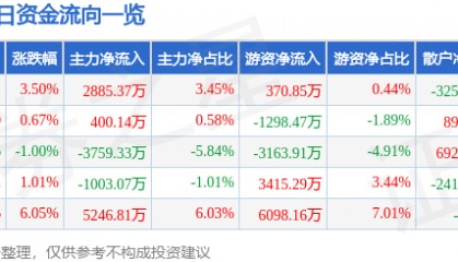 股票行情快报：兄弟科技（002562）8月11日主力资金净买入2885.37万元