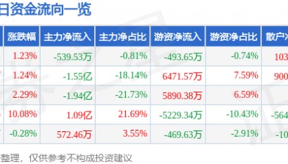 股票行情快报:实达集团(600734)2月6日主力资金净卖出539.53万元