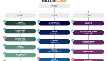BSV交易官网(bvnex交易所官网)