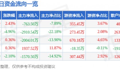 股票行情快报：瑞丰光电（300241）2月19日主力资金净卖出763.50万元