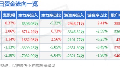 股票行情快报:岩山科技(002195)6月25日主力资金净卖出6506.08万元