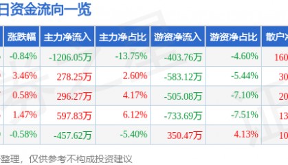 股票行情快报:华天酒店(000428)12月3日主力资金净卖出1206.05万元