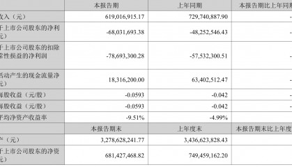 海南瑞泽:2025年上半年实现营业总收入6.19亿元