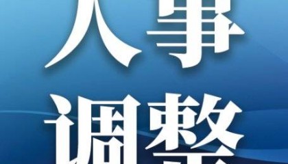 中国能建、中国电气装备重要人事调整
