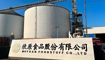 牧原股份，起死回生！