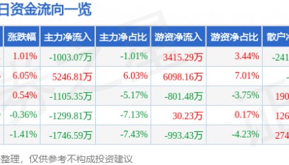 股票行情快报：兄弟科技（002562）8月6日主力资金净卖出1003.07万元