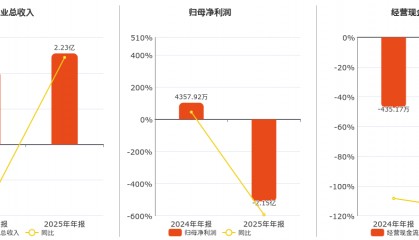 国中水务(600187.SH)2025年净利润为-2.15亿元，由盈转亏