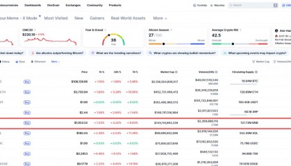 BNB-币安币交易官网(币安binance官网入口)