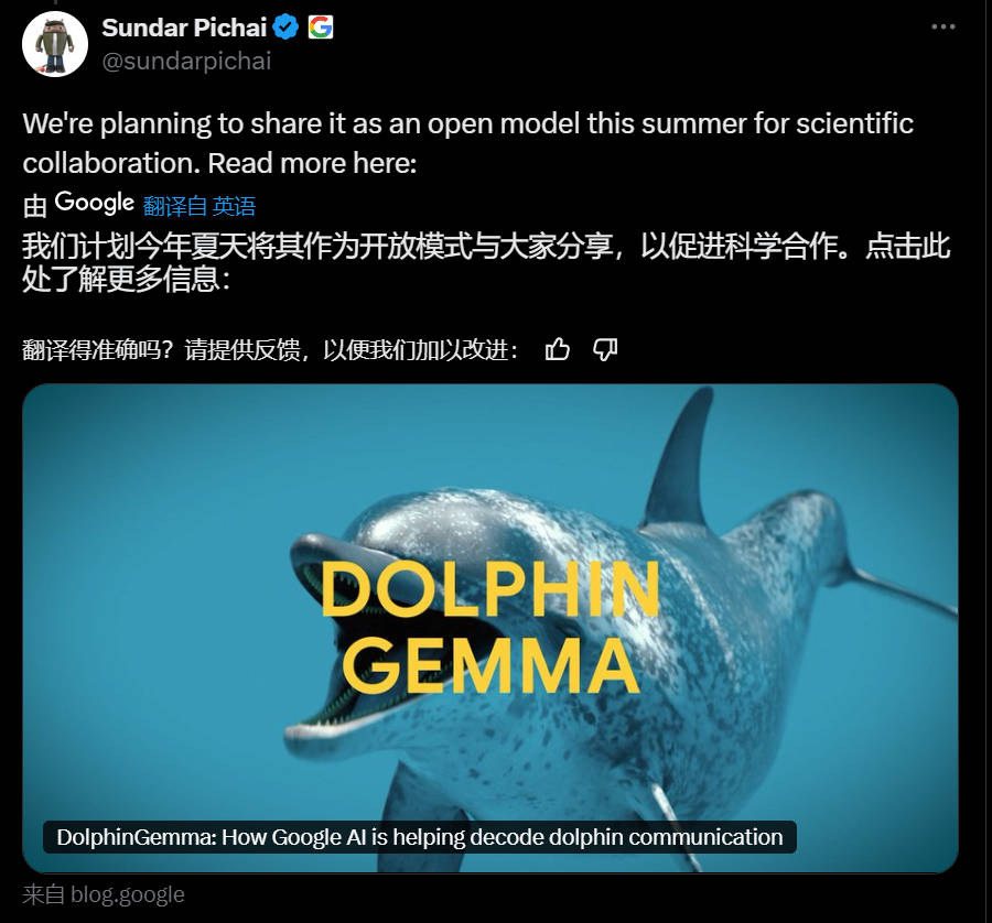 谷歌基于Gemma打造海豚专属模型，用4亿参数“解锁”海豚声音秘密