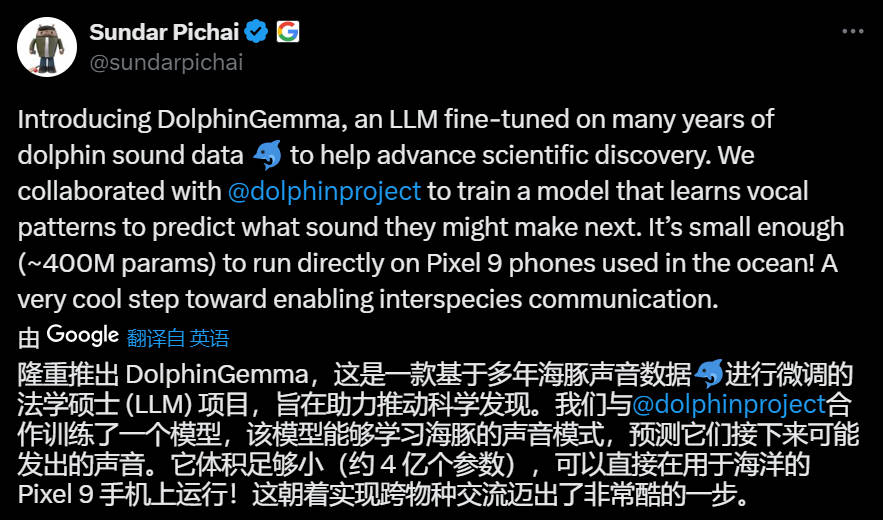 谷歌基于Gemma打造海豚专属模型，用4亿参数“解锁”海豚声音秘密