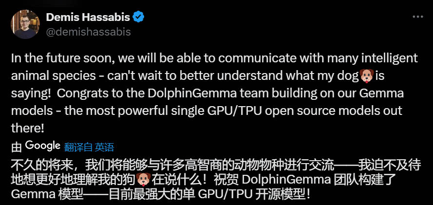 谷歌基于Gemma打造海豚专属模型，用4亿参数“解锁”海豚声音秘密