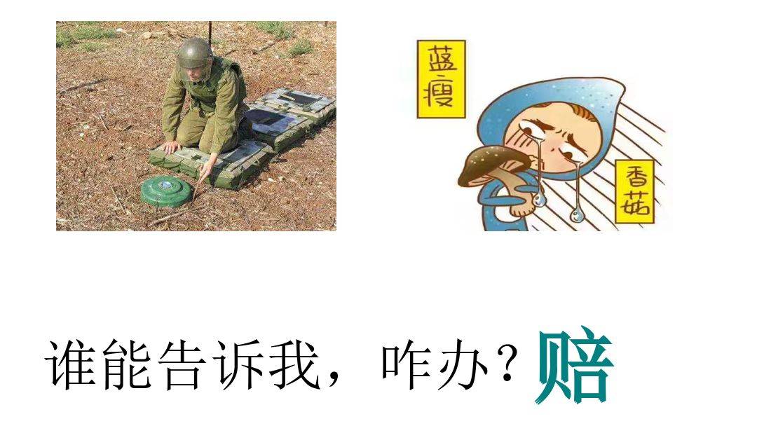 美尔雅及实控人信披违规被立案调查,股票维权已启动