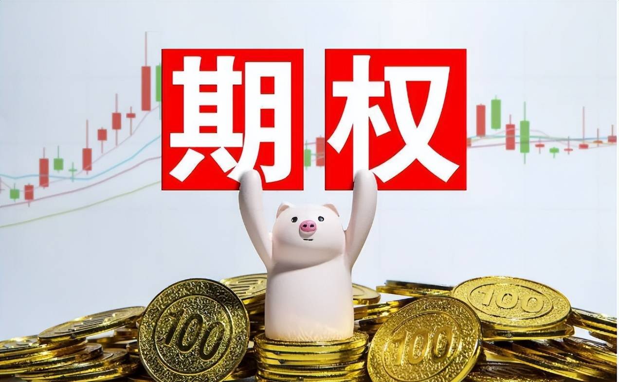 个股期权和股票期权的区别有啥区别?