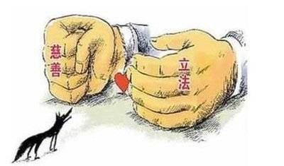 接手转让的基金会，和正常基金会有啥区别？