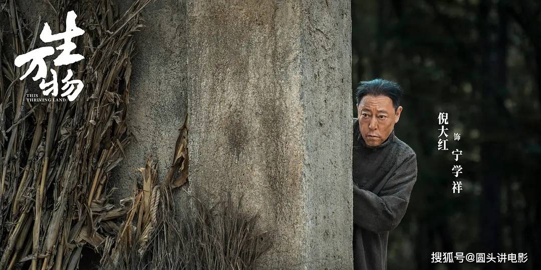 当前很火的五部电视剧,《献鱼》排在倒数,你在追哪一部?