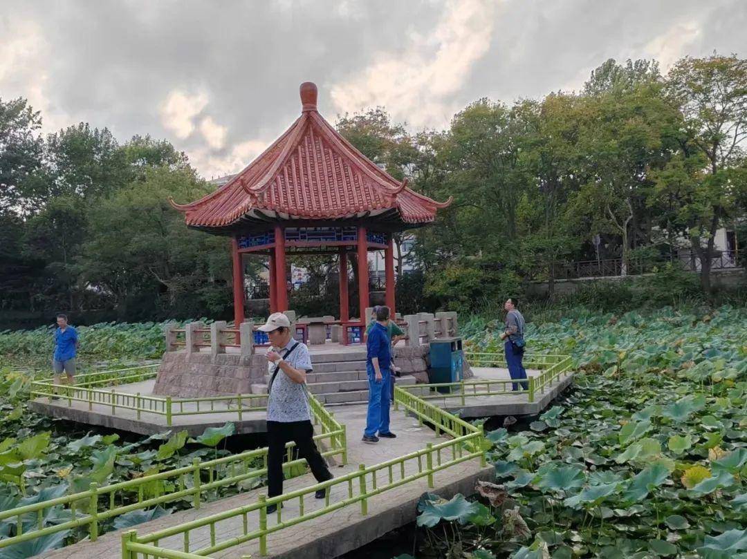 青岛中山公园一凉亭突然倒塌:一年前刚完成修缮,园方称无伤亡原因待查