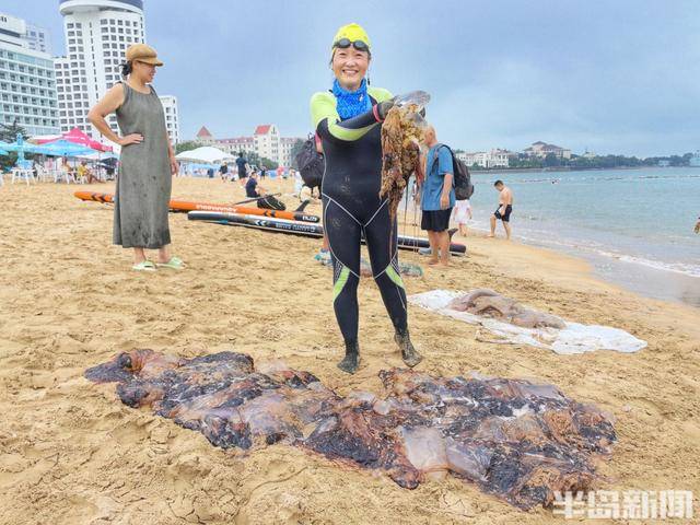 今年青岛海蜇有点多?有人一天捞上1000多斤,“最大海蜇王”超过300斤