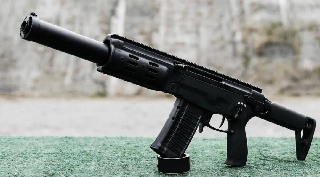 从未见过!4款国产神秘新步枪意外曝光,191枪族居然还有新型号?