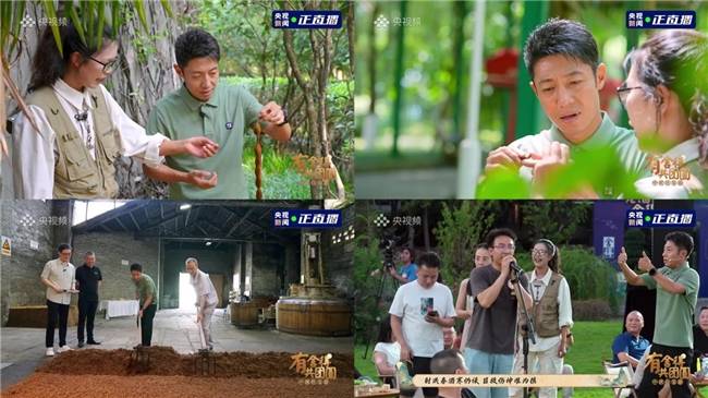 舍得、沱牌再获“中国500最具价值品牌”,双品牌价值稳步跃升