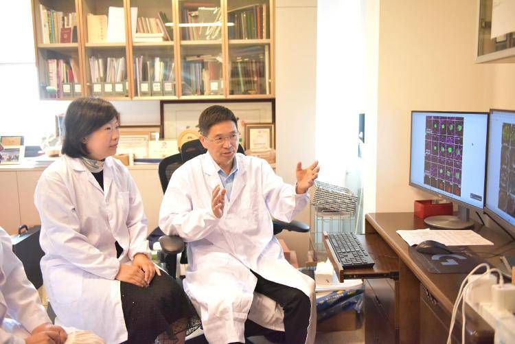 科研新突破!我国科学家破解植物细胞全能性世纪难题