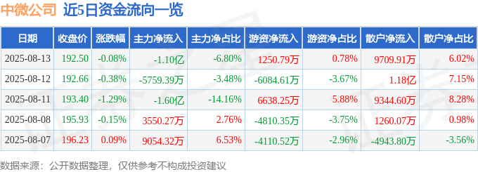 股票行情快报:中微公司(688012)8月13日主力资金净卖出1.10亿元